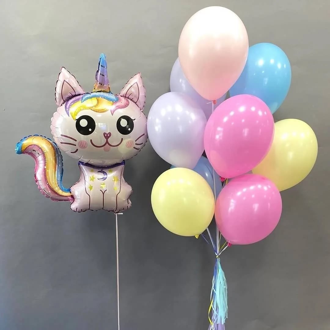 Воздушный шар кошка